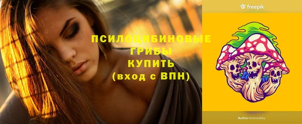 герыч Алзамай