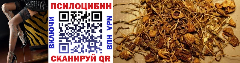 Галлюциногенные грибы мухоморы  купить наркотик  Цимлянск 