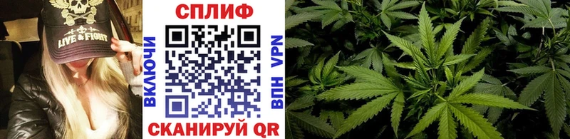 купить закладку  Цимлянск  Марихуана план 